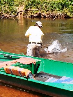 blog-Nov-10-2013-6-flyfishing-tigerfish