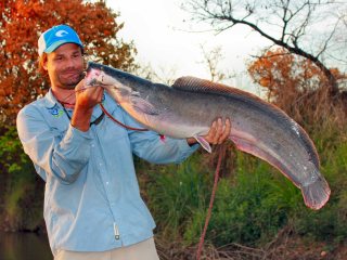 blog-Nov-11-2013-5-Oliver-White-sharptooth-catfish