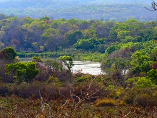 blog-Nov-13-2013-1-Ruhudji-River-Tanzania