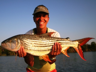 blog-Nov-2-2013-3-Granny-Currier-Zambezi-tigerfish