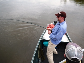 blog-Nov-3-2013-7-flyfishing-for-tigerfish