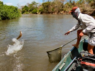 blog-Nov-4-2013-7-flyfishing-for-tigerfish