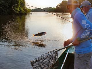 blog-Nov-9-2013-3-flyfishing-for-tigerfish