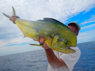 blog-Dec-12-2013-4-jeff-currier-flyfishing-for-dorado