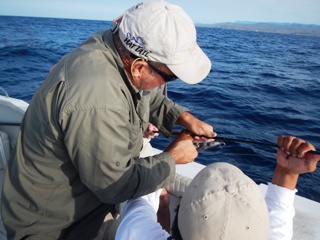 blog-Dec-13-2013-5-flyfishing-striped-marlin