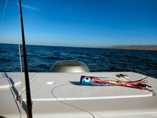 blog-Dec-14-2013-3-flyfishing-for-marlin