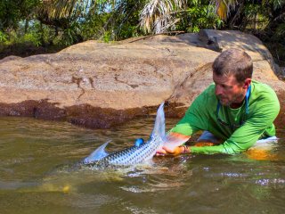 blog-Nov-16-2013-10-jeff-currier-releasing-tigerfish