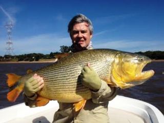 Monster Golden Dorado Jeff Currier Monster Golden Dorado Jeff Currier