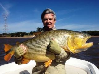 blog-Feb-19-2014-Tom-Hansen-dorado