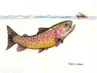 blog-April-24-2014-1-jeff-currier-fish-art