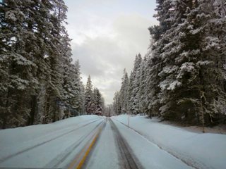 blog-April-26-27-2014-5-yellowstone-in-april