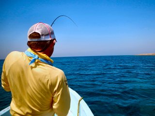 blog-March-29-2014-5-flyfishing-for-milkfish-in-sudan