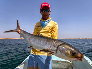 blog-March-29-2014-7-mark-murray-fly-fishing-for-milkfish