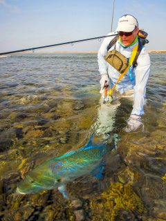 blog-March-31-2014-17-flyfishing-for-bluefin-trevally