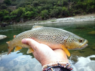 blog-May-17-2014-8-flyfishing-in-bhutan