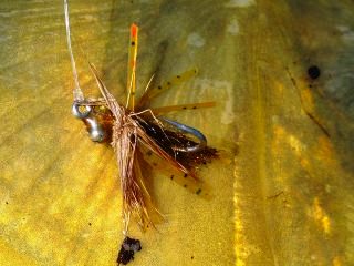 blog-May-3-2014-6-carp-flies