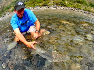 blog-June-1-2014-20-jeff-currier-releasing-a-mahseer-bhutan