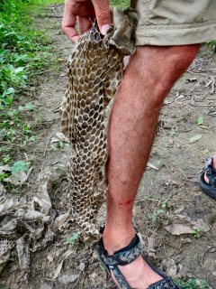 blog-June-1-2014-9-big-snake-in-bhutan