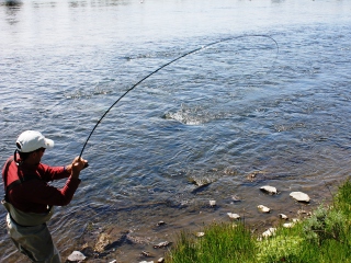 blog-June-15-2014-7-jeff-currier-fishing-henry's-fork