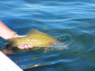 blog-June-22-2014-3-flyfishing-for-smallmouth-bass