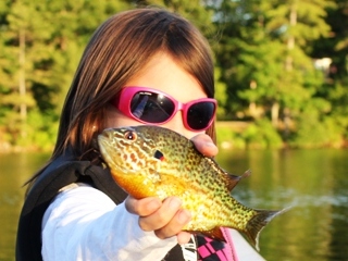 blog-June-24-2014-2-pumpkinseed-sunfish