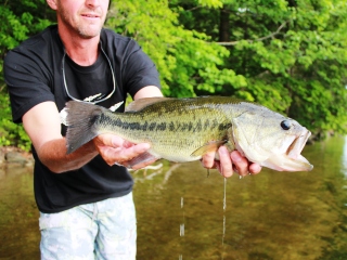blog-June-24-2014-4-flyfishig-for-bass