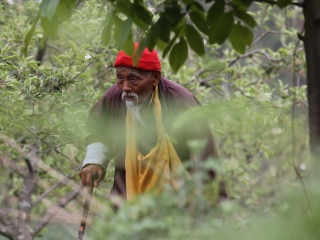 blog-May-19-2014-6-Niel-fox-photo-bhutan