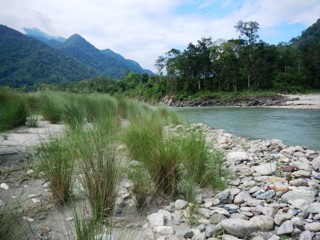 blog-May-26-2014-5-watching-for-tigers-in-bhutan