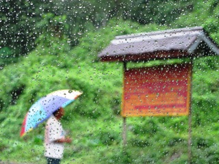 blog-May-28-2014-2-monsoon-season-in-bhutan