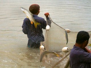 blog-May-28-2014-3-mahseer-fish-hatchery-bhutan