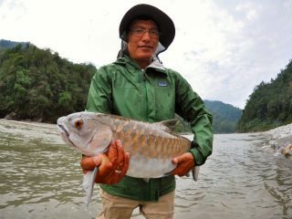 blog-May-30-1-flyfishing-for-mahseer