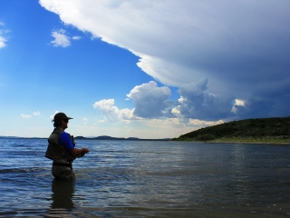 blog-July-3-2014-1-flyfishing-for-carp