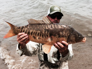 blog-July-3-2014-2-jeff-currier-flyfishing-for-carp