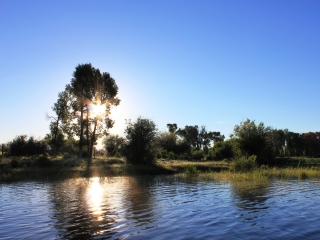 blog-July-9-2014-1-flyfishing-in-wyoming