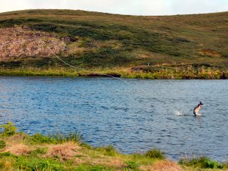 blog-Aug-11-2014-7-atlantic-salmon-fsihing-in-iceland