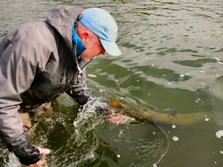 blog-Aug-13-2014-13-atlantic-salmon-release