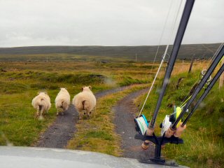 blog-Aug-13-2014-9-nes-beats