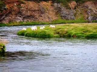 blog-Aug-5-2014-2-flyfishing-for-atlantic-salmon