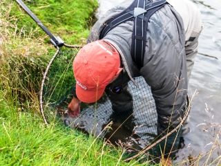 blog-Aug-5-2014-9-jeff-currier-atlantic-salmon-fishing