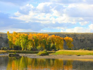 blog-Sept-16-2014-2-fall-in-idaho