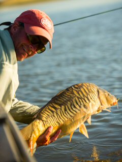 blog-Sept-19-2014-9-jeff-currier-carp-fishing