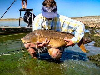 blog-Sept-20-2014-14-mike-dawes-carping