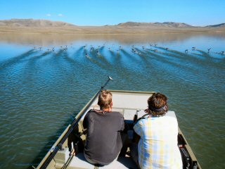 blog-Sept-20-2014-15-flyfishing-for-carp