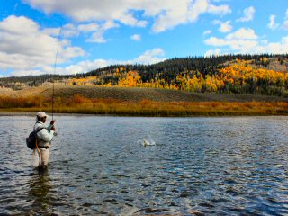 blog-Sept-23-2014-4-flyfishing-with-steve-berry