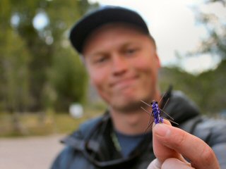 blog-Sept-5-2014-1-jackson-hole-onefly