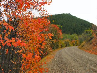 blog-Sept-9-2014-2-fall-in-idaho