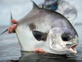 blog-Oct-12-2014-2-flyfishing-for-permit