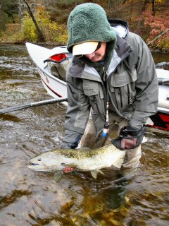 blog-Oct-17-2014-7-flyfishing-for-chinook