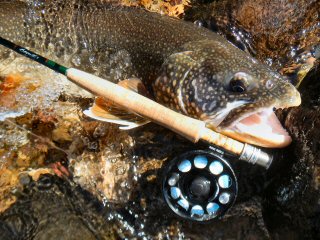 blog-Oct-22-2014-2-flyfishing-for-mackinaw