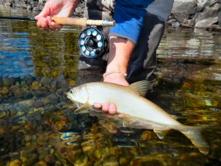 blog-Oct-8-2014-5-lake-trout-fishing